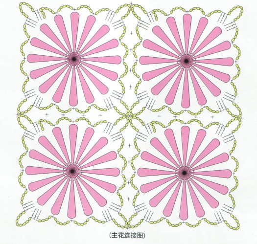 主花连接图